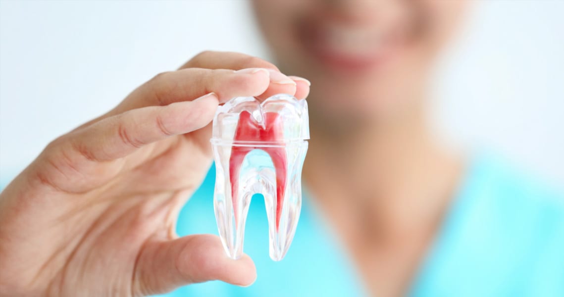 Anchorage Dentist Root Canal